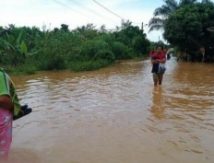 Kasihan! 160 Rumah Warga Kampar Terendam Banjir