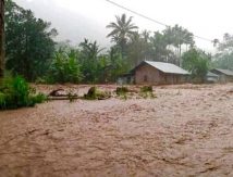 7 Hektare Sawah Warga Terendam Banjir, Ini Lokasinya