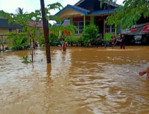 Banjir Penajam Paser Utara Surut, BPBD: Waspada!