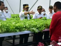 Mentan SYL Bangun Screen House, Jadikan Soppeng Daerah Penghasil Sayuran Standar Ekspor